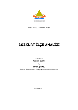 Bozkurt İlçe Analizi 1.819 KB / .Pdf