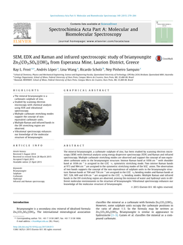 SEM, EDX and Raman and Infrared Spectroscopic Study of Brianyoungite