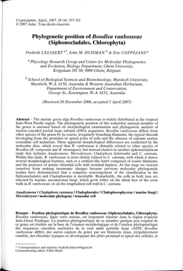 Phylogenetic Position of Boodlea Vanbosseae (Siphonocladales, Chlorophyta)