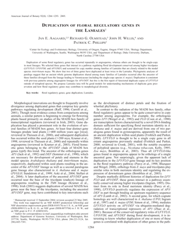 Duplication of Floral Regulatory Genes in the Lamiales