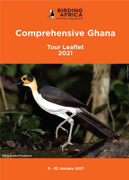 Comprehensive Ghana Itinerary