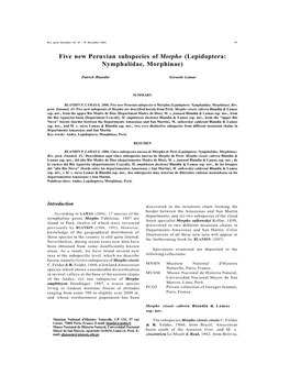 Five New Peruvian Subspecies of Morpho (Lepidoptera: Nymphalidae, Morphinae)