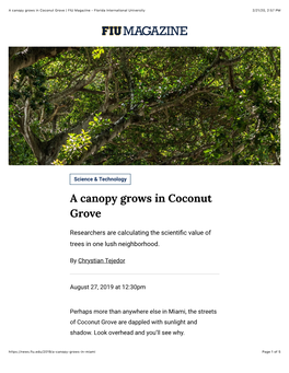 A Canopy Grows in Coconut Grove | FIU Magazine - Florida International University 2/21/20, 2�57 PM