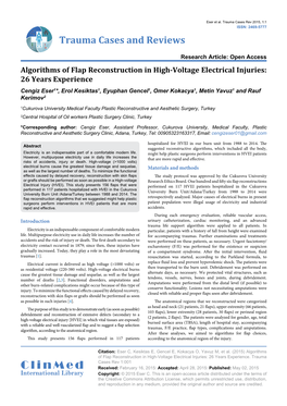 Algorithms of Flap Reconstruction in High-Voltage Electrical Injuries