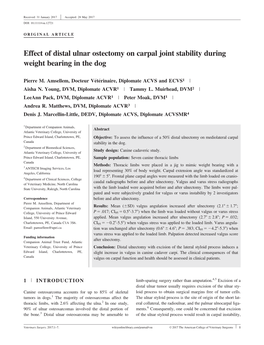 Effect of Distal Ulnar Ostectomy on Carpal Joint Stability During Weight Bearing in the Dog