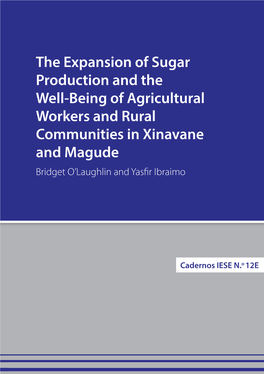 The Expansion of Sugar Production and the Well-Being of Agricultural Workers and Rural Communities in Xinavane and Magude