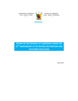 Report of the Republic of Cameroon Under the 25