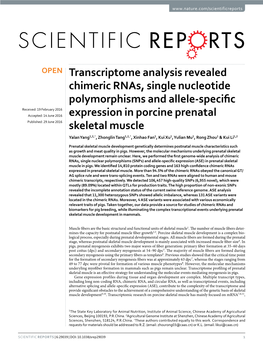 Transcriptome Analysis Revealed Chimeric Rnas, Single Nucleotide Polymorphisms and Allele-Specific Expression in Porcine Prenatal Skeletal Muscle