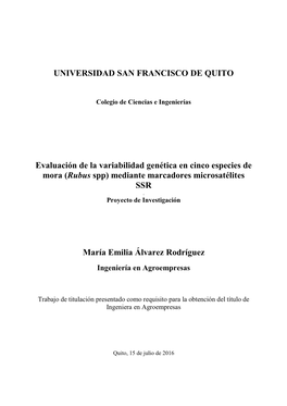 Evaluación De La Variabilidad Genética En Cinco Especies De Mora (Rubus Spp) Mediante Marcadores Microsatélites SSR