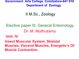 II M.Sc., Zoology Elective Paper III. General Entomology Dr. M