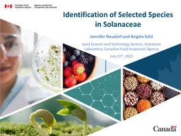 CFIA ID of Solanaceae Species 2021