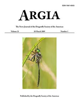 The News Journal of the Dragonfly