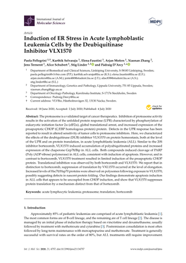 Induction of ER Stress in Acute Lymphoblastic Leukemia Cells by the Deubiquitinase Inhibitor VLX1570