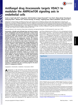 Antifungal Drug Itraconazole Targets VDAC1 to Modulate the AMPK/Mtor Signaling Axis in Endothelial Cells