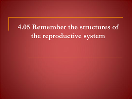 4.05 Remember the Structures of the Reproductive System 4.05 Remember the Structures of the Reproductive System