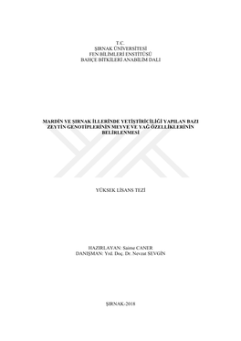 T.C. Ġirnak Ünġversġtesġ Fen Bġlġmlerġ Enstġtüsü Bahçe Bġtkġlerġ Anabġlġm Dali Mardġn Ve Ġirnak Ġllerġnde Y