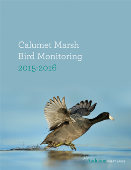 Calumet Marsh Bird Monitoring 2015-2016