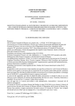 COMUNE DI TRICERRO (Provincia Di Vercelli) DETERMINAZIONE