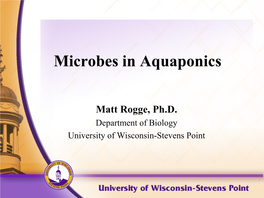 Microbes in Aquaponics