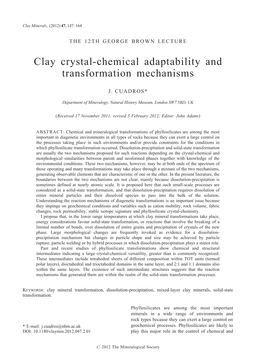 Clay Crystal-Chemical Adaptability and Transformation Mechanisms