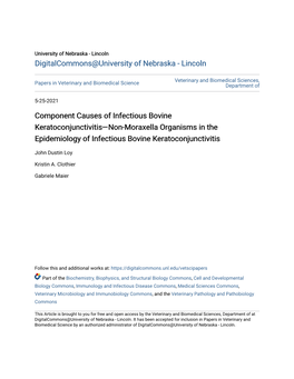 Component Causes of Infectious Bovine Keratoconjunctivitis—Non-Moraxella Organisms in the Epidemiology of Infectious Bovine Keratoconjunctivitis