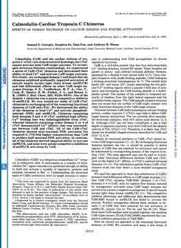 Calmodulin-Cardiac Troponin C Chimeras