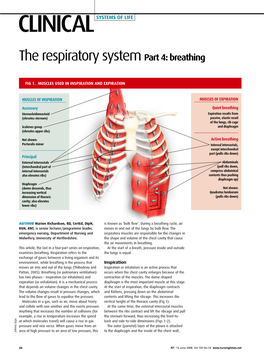 The Respiratory System Part 4: Breathing