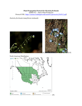 Plant Propagation Protocol for Hackelia Floribunda ESRM 412 – Native Plant Production Protocol URL
