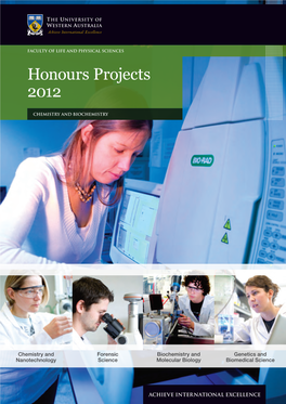 Honours Projects 2012