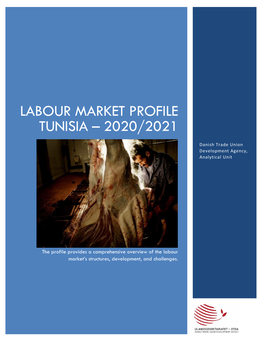 Labour Market Profile Tunisia – 2020/2021