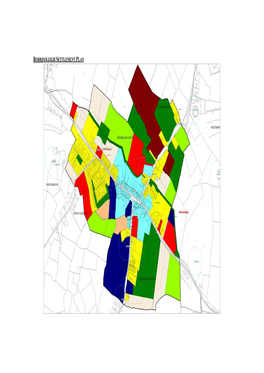 Borrisoleigh Settlement Plan