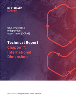 Technical Report Chapter 7: International Dimensions