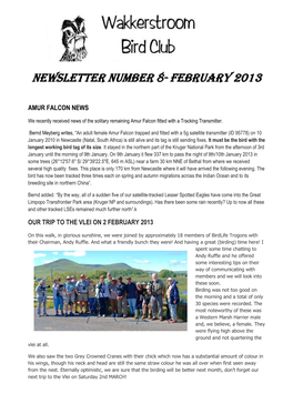 Newsletter Number 8- February 2013