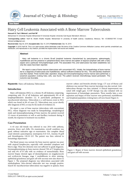 Hairy Cell Leukemia Associated with a Bone Marrow Tuberculosis