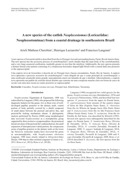 Loricariidae: Neoplecostominae) from a Coastal Drainage in Southeastern Brazil