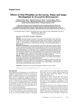 Effects of Oral Morphine on the Larvae, Pupae and Imago Development In