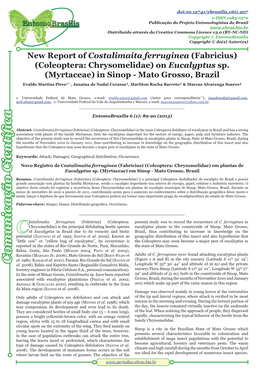 New Report of Costalimaita Ferruginea (Coleoptera: Chrysomelidae) On