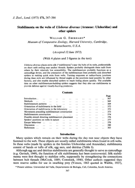 Stabilimenta on the Webs of Uloborus Diversus (Araneae: Uloboridae) and Other Spiders