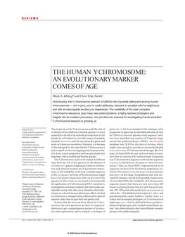 The Human Y Chromosome: an Evolutionary Marker Comes of Age