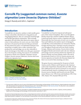 Cornsilk Fly (Suggested Common Name), Euxesta Stigmatias Loew (Insecta: Diptera: Otitidae)1 Gregg S
