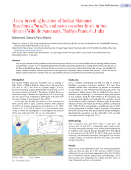 A New Breeding Location of Indian Skimmer Rynchops Albicollis, And