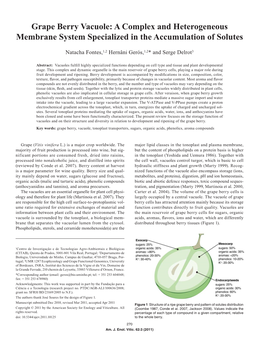 Grape Berry Vacuole: a Complex and Heterogeneous Membrane System Specialized in the Accumulation of Solutes