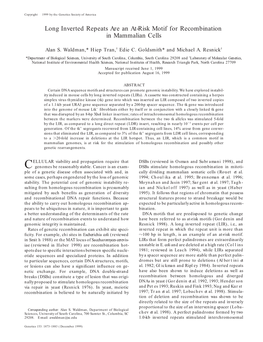 Long Inverted Repeats Are an At-Risk Motif for Recombination in Mammalian Cells