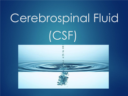 Cerebrospinal Fluid (CSF) What Is CSF? 2