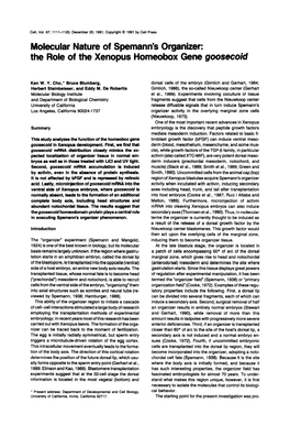 Molecular Nature of Spemann's Organizer: the Role of the Xenopus