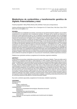Metabolismo De Cardenólidos Y Transformación Genética De Digitalis. Potencialidades Y Retos