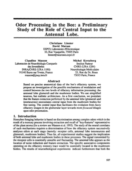 Odor Processing in the Bee: a Preliminary Study of the Role of Central Input to the Antennal Lobe