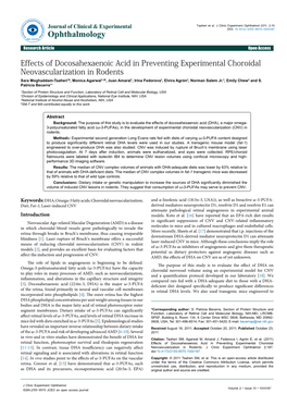 Effects of Docosahexaenoic Acid in Preventing Experimental Choroidal Neovascularization in Rodents