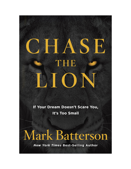 Chase the Lion