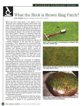 What the Heck Is Brown Ring Patch? by Dr